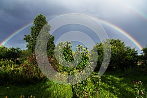 Rainbow in the sky over the garden