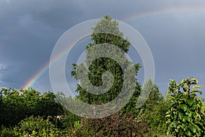 Rainbow in the sky over the garden