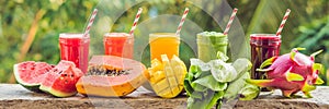 Rainbow from smoothies. Watermelon, papaya, mango, spinach and dragon fruit. Smoothies, juices, beverages, drinks