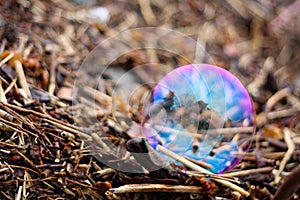 Rainbow soap bubbles