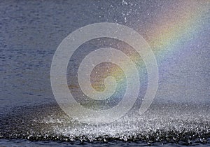 Rainbow in the spray