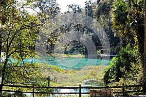 Rainbow Springs in Dunnellon, Florida