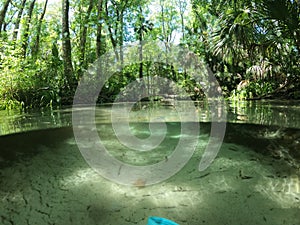 Rainbow Springs River Park Florida