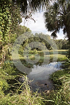 Rainbow Springs State Park Florida USA