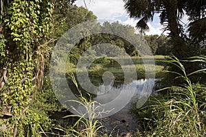 Rainbow Springs State Park Florida USA