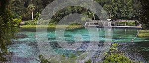 Rainbow Springs - Swimming Area