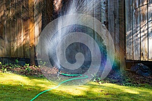 rainbow in sprinkler in green yard 2