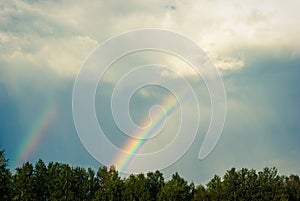 The Rainbow after the storm