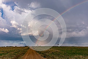 Rainbow striking on the rough road Landscape lone trees savannah grasslands at the Maasai Mara Triangle National Game Reserve Park