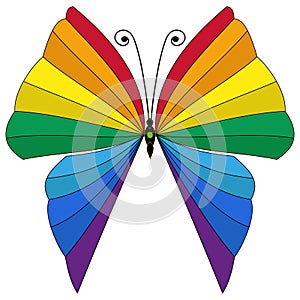 Rainbow striped butterfly isolated