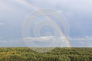 Rainbow at sunset over the forest in the natural park called Lommeles Sahara in Belgium