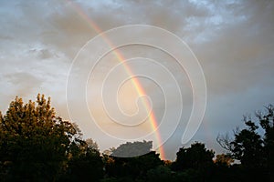 RAINBOW WITH TREES