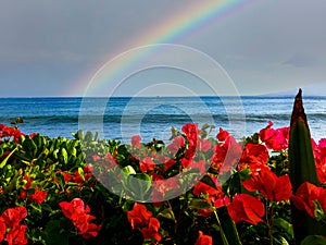 Rainbow Tropical Beach Maui Kaanapali