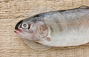 rainbow trout on a board