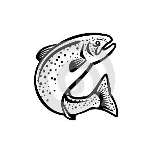 Rainbow Trout Jumping Up Retro Black and White