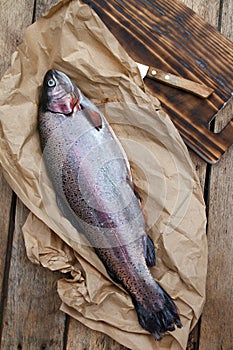 Rainbow trout (Oncorhynchus mykiss)