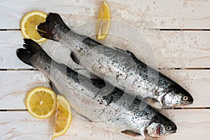 Rainbow trout over sea salt with pieces of lemon over Mediterranean wooden background