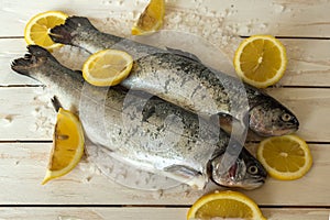 Rainbow trout over sea salt with pieces of lemon over Mediterranean wooden background