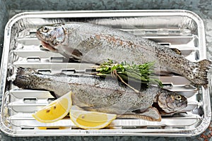 Rainbow trout ready to be grilled