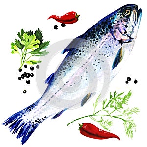 Rainbow trout with spices on white background