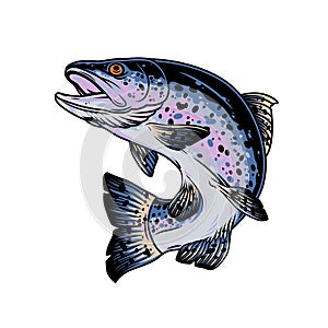 Rainbow trout vintage concept