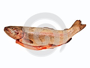 Rainbow trout whole eviscerated, photo