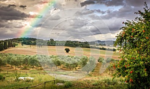 Rainbow in Tuscany