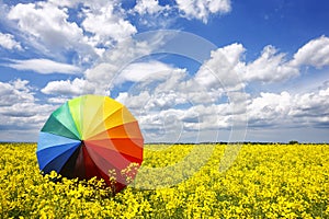 Rainbow umbrella photo