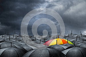 Rainbow umbrella concept photo