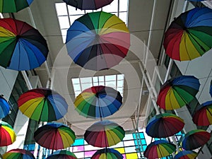 The Rainbow Umbrella