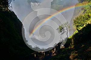 A rainbow in Victoria Falls national park. Zimbabwe