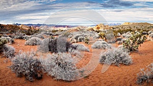 Rainbow Vista Trail Landscape Panorama