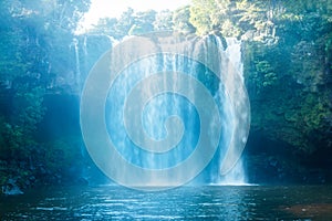 Rainbow Waterfalls in Kerikeri, New Zealand. Sunlight pours over beautiful waterfall in deep forest