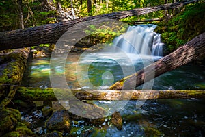 Rainbow on Whitehorse Falls , Umpqua Scenic Byway, Southern Oregon