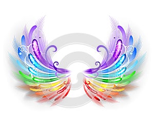 Rainbow wings on a white background