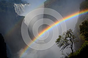 Rainbow. Zambezi river and Victoria Falls. Zimbabwe