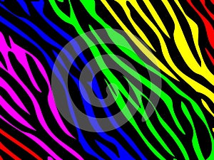 Rainbow zebra print
