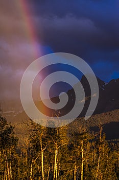 Rainbows over San Juan Mountains, Hastings Mesa, Ridgway Colorado, home of photographer Joe. Flowers, Season photo