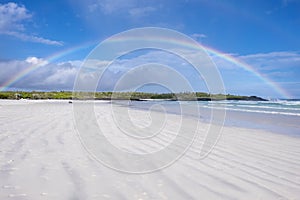Rainbows Over Tortuga Bay 1