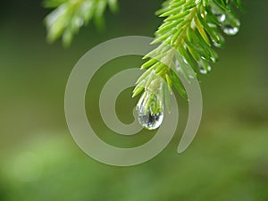 Raindrop photo