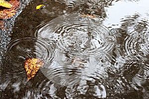 Raindrop fall in puddle. rainy day weather. Mainly cloudy dull gray murky autumn day