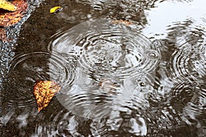 Raindrop fall in puddle. rainy day weather. Mainly cloudy dull gray murky autumn day photo