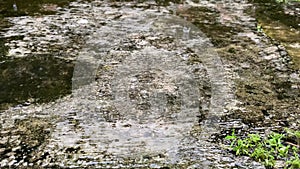 Raindrop Rain falling on cement pavement