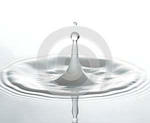 Raindrop Splash Isolated on White