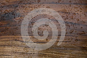 Raindrop water on wooden plank background at outdoor