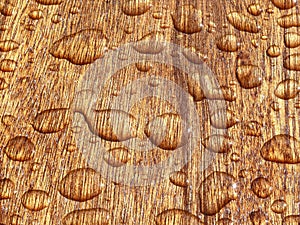 Raindrop on wood