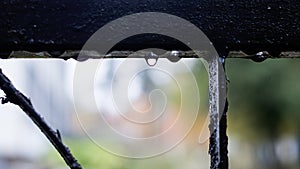 Raindrops on a black metal fence closeup