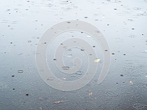 Raindrops fall in puddle asphalt road in autumn