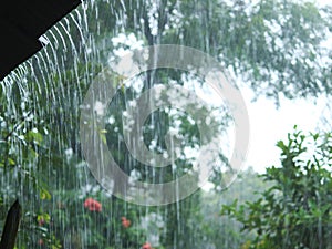 Raindrops fall in a serene and romantic setting in the peaceful and beautiful countryside