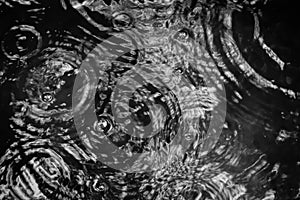 Raindrops are falling in a basin, black & white, blurred